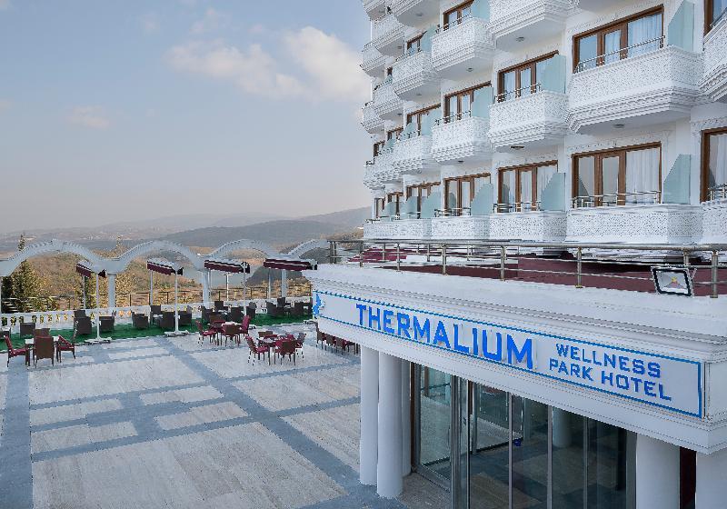 Thermalium Wellness & By Vima 4* Ялова